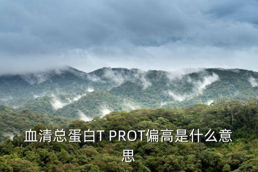血清總蛋白偏高，總蛋白偏高