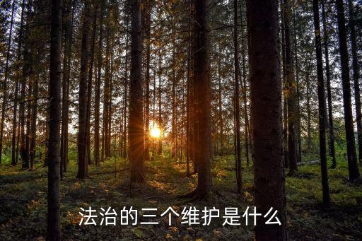 法治是什么，法制社會和法治社會有什么不一樣