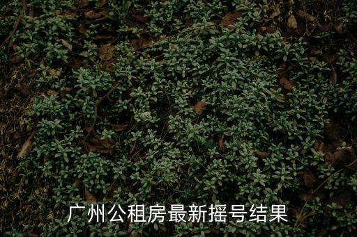 2017廣州公租房搖號結(jié)果，廣州公租房最新?lián)u號結(jié)果