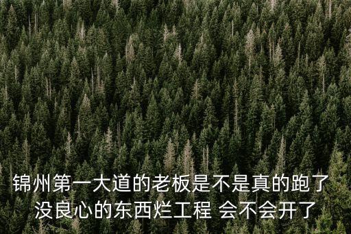 錦州第一大道的老板是不是真的跑了 沒良心的東西爛工程 會不會開了
