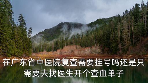 在廣東省中醫(yī)院復(fù)查需要掛號嗎還是只需要去找醫(yī)生開個查血單子
