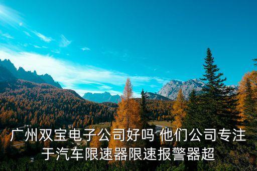 廣州雙寶電子公司好嗎 他們公司專注于汽車限速器限速報警器超