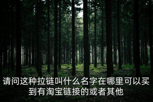 請問這種拉鏈叫什么名字在哪里可以買到有淘寶鏈接的或者其他