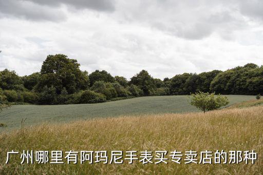 廣州哪里有阿瑪尼手表買專賣店的那種