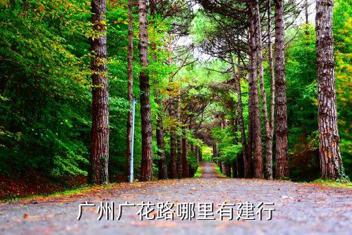 中國建設銀行廣州廣花三路支行怎么樣，廣州廣花路哪里有建行