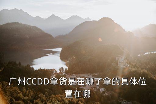 廣州泡泡相機在外面拿貨，廣州CCDD拿貨是在哪了拿的具體位置在哪
