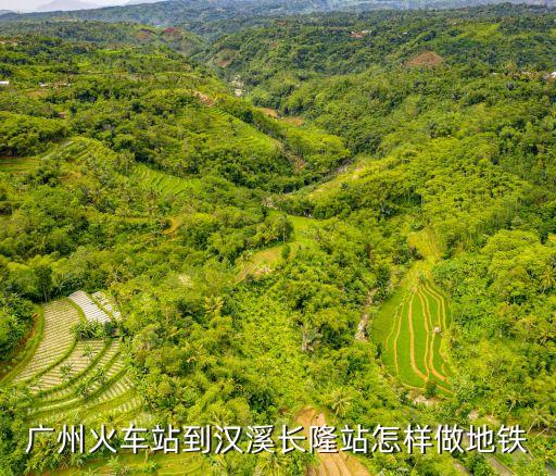 廣州站到漢溪長(zhǎng)隆站，廣州站怎么坐車去長(zhǎng)隆