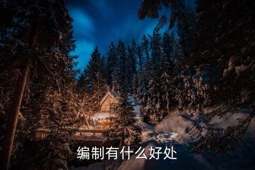 編制有什么好處