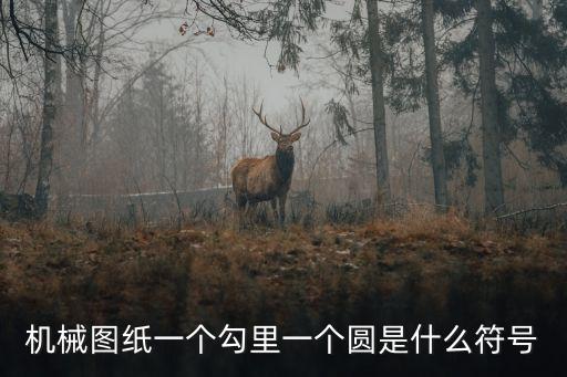 一個圓，1個圓是什么四字詞語