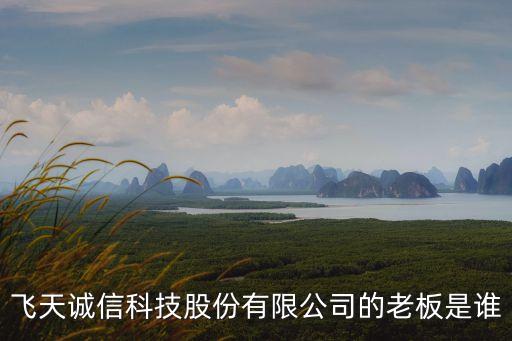 飛天誠(chéng)信科技股份有限公司的老板是誰(shuí)