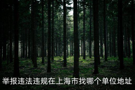 舉報違法違規在上海市找哪個單位地址