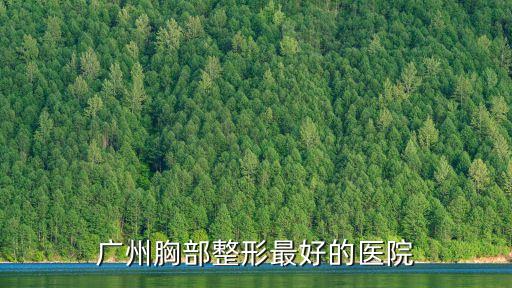 廣州胸部整形最好的醫院