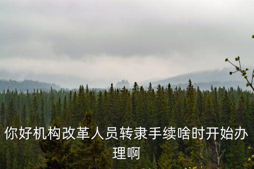 上海市機構改革參公人員轉隸，你好機構改革人員轉隸手續啥時開始辦理啊