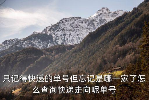 只記得快遞的單號(hào)但忘記是哪一家了怎么查詢快遞走向呢單號(hào)