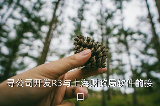 上市公司劃撥上海市財政局，上海市財政局的網站