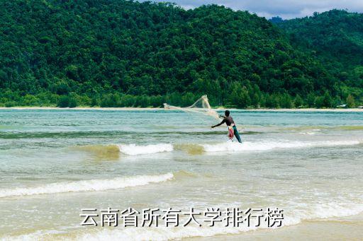 院校排名，中國高校排名