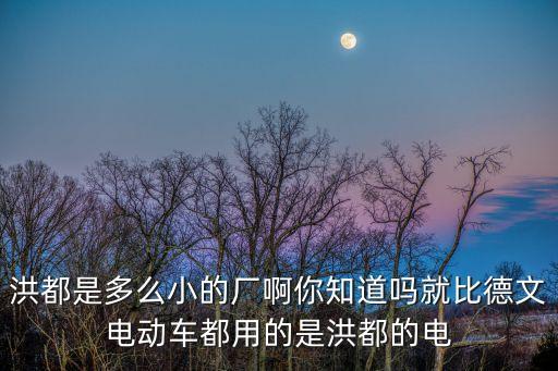 洪都是多么小的廠啊你知道嗎就比德文電動車都用的是洪都的電