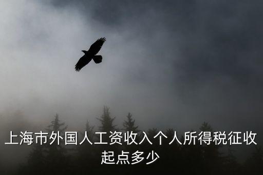 上海市外國人工資標準，上海市外國人工資收入個人所得稅征收起點多少