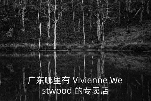 廣州vivianwestwood婚紗，請vivienne westwood設(shè)計個婚紗要多少錢呢