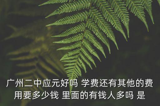廣州二中應元好嗎 學費還有其他的費用要多少錢 里面的有錢人多嗎 是