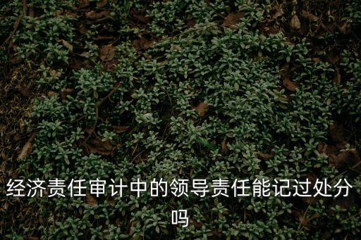 經濟責任審計中的領導責任能記過處分嗎