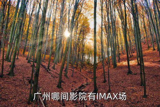 廣州新港路的萬達imax，廣州哪里有imax巨幕電影院