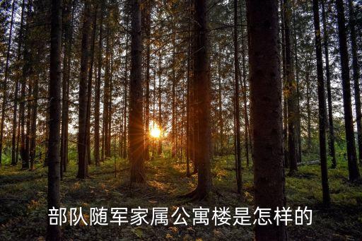 上海市武警部隊軍屬隨軍有住房嗎，部隊都有公寓房嗎
