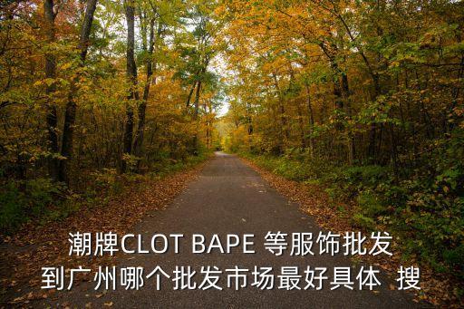潮牌CLOT BAPE 等服飾批發(fā)到廣州哪個批發(fā)市場最好具體  搜