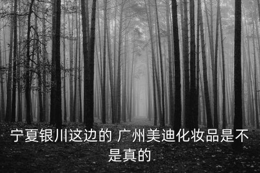 寧夏銀川這邊的 廣州美迪化妝品是不是真的