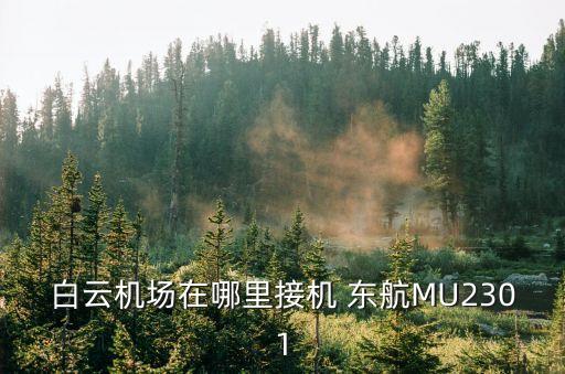 廣州出發的東航航班，白云機場在哪里接機 東航MU2301