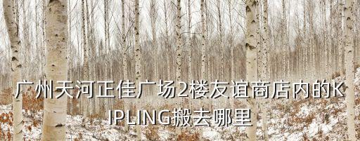 廣州正佳廣場jk制服店在幾樓，廣州天河正佳廣場2樓友誼商店內(nèi)的KIPLING搬去哪里