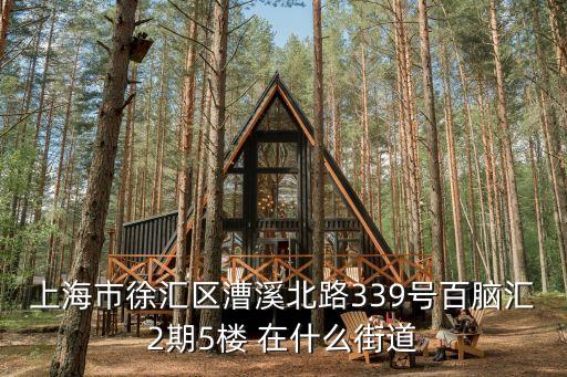 上海市徐匯區漕溪北路339號百腦匯2期5樓 在什么街道