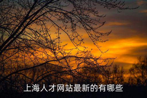 上海人才網站最新的有哪些