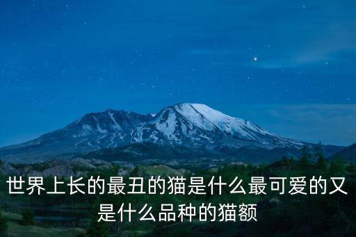 世界上最丑的貓，世界上長的最丑的貓是什么最可愛的又是什么品種的貓額
