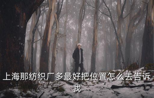 上海那紡織廠多最好把位置怎么去告訴我