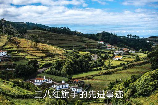 歷屆三八紅旗手上海市，市級(jí)三八紅旗手是什么單位頒發(fā)的