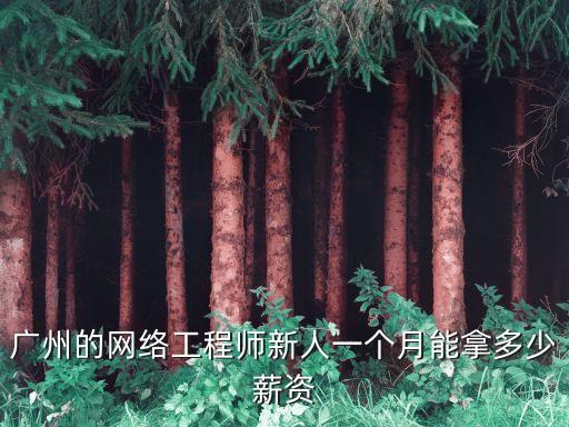 廣州的網絡工程師新人一個月能拿多少薪資