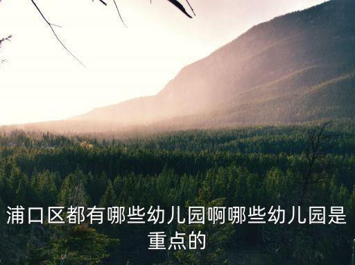 浦口區都有哪些幼兒園啊哪些幼兒園是重點的