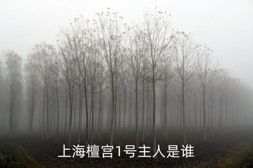 上海檀宮1號主人是誰