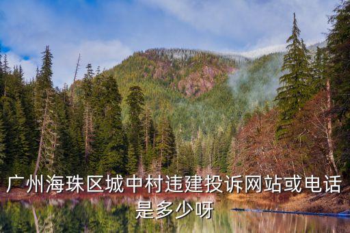 廣州海珠區(qū)城中村違建投訴網(wǎng)站或電話是多少呀
