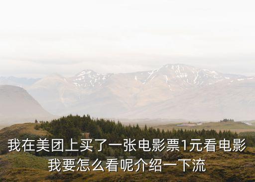 我在美團上買了一張電影票1元看電影我要怎么看呢介紹一下流