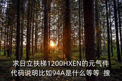 求日立扶梯1200HXEN的元?dú)饧a說(shuō)明比如94A是什么等等  搜