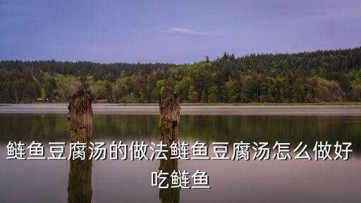 鰱魚(yú)燉豆腐，鰱魚(yú)的做法大全 怎么做豆腐燉江鰱魚(yú)