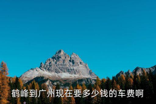 鶴峰到廣州現在要多少錢的車費啊
