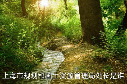 上海市規劃和國土資源管理局處長是誰