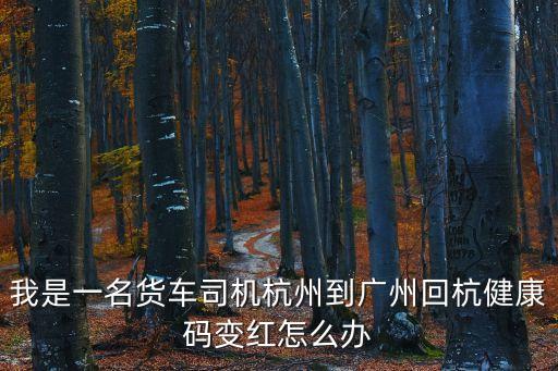 最近廣州返杭健康碼會變嗎，我是一名貨車司機杭州到廣州回杭健康碼變紅怎么辦