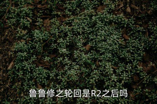 魯魯修之輪回，魯魯修之輪回評價