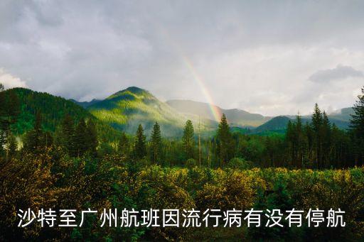 沙特至廣州飛機票，請問沙特利雅得到廣州一個星期幾趟航班