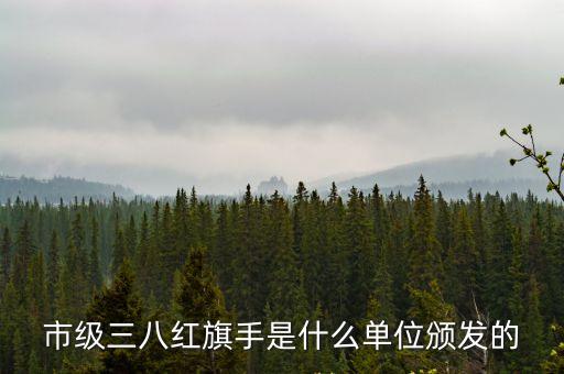 市級(jí)三八紅旗手是什么單位頒發(fā)的