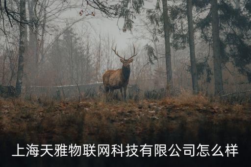 上海市物聯(lián)網(wǎng)科技有限公司，上海天雅物聯(lián)網(wǎng)科技有限公司怎么樣